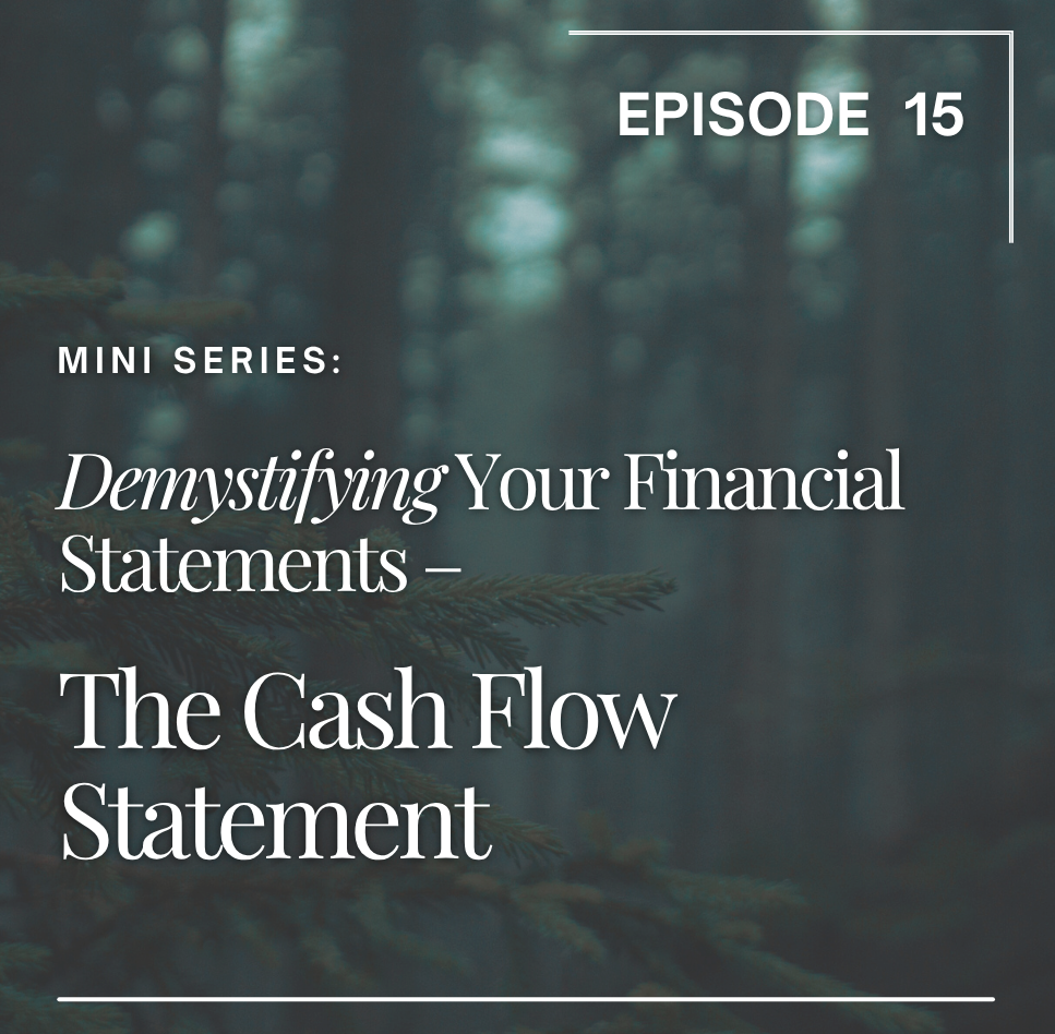 Episode 15: Demystifying Your Financial Statements Cash Flow Statement