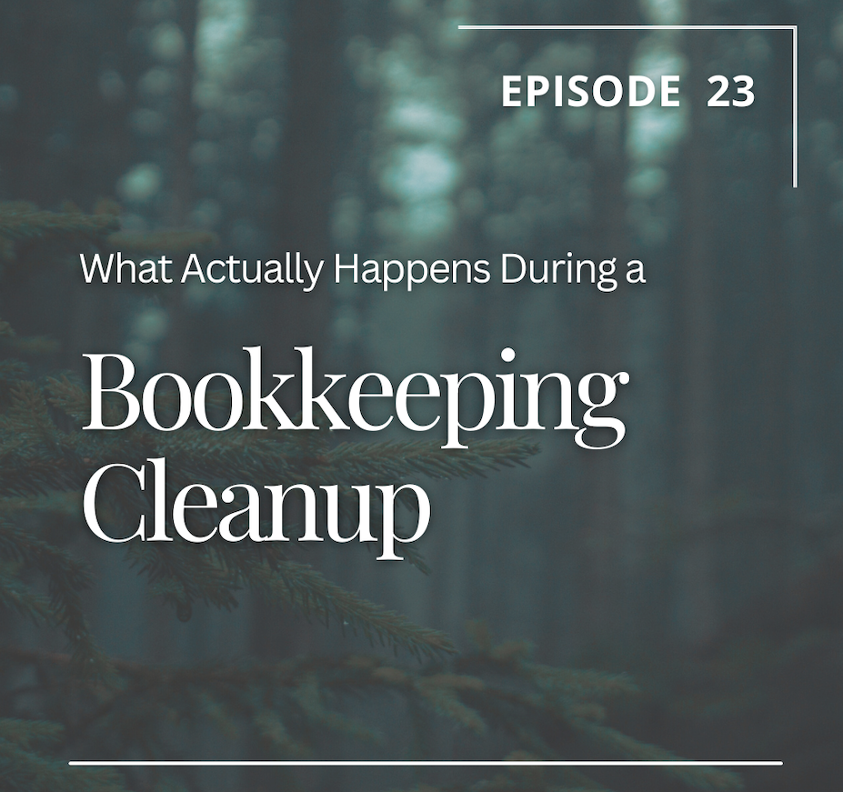 Episode 23: What Actually Happens During a Bookkeeping Cleanup