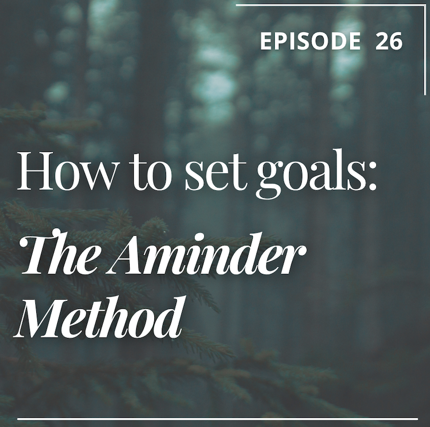 Episode 26: How to Set Goals: The Aminder Method