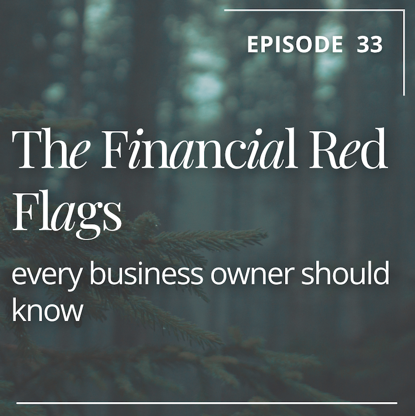 Episode 33: The Financial Red Flags Every Business Owner Should Know
