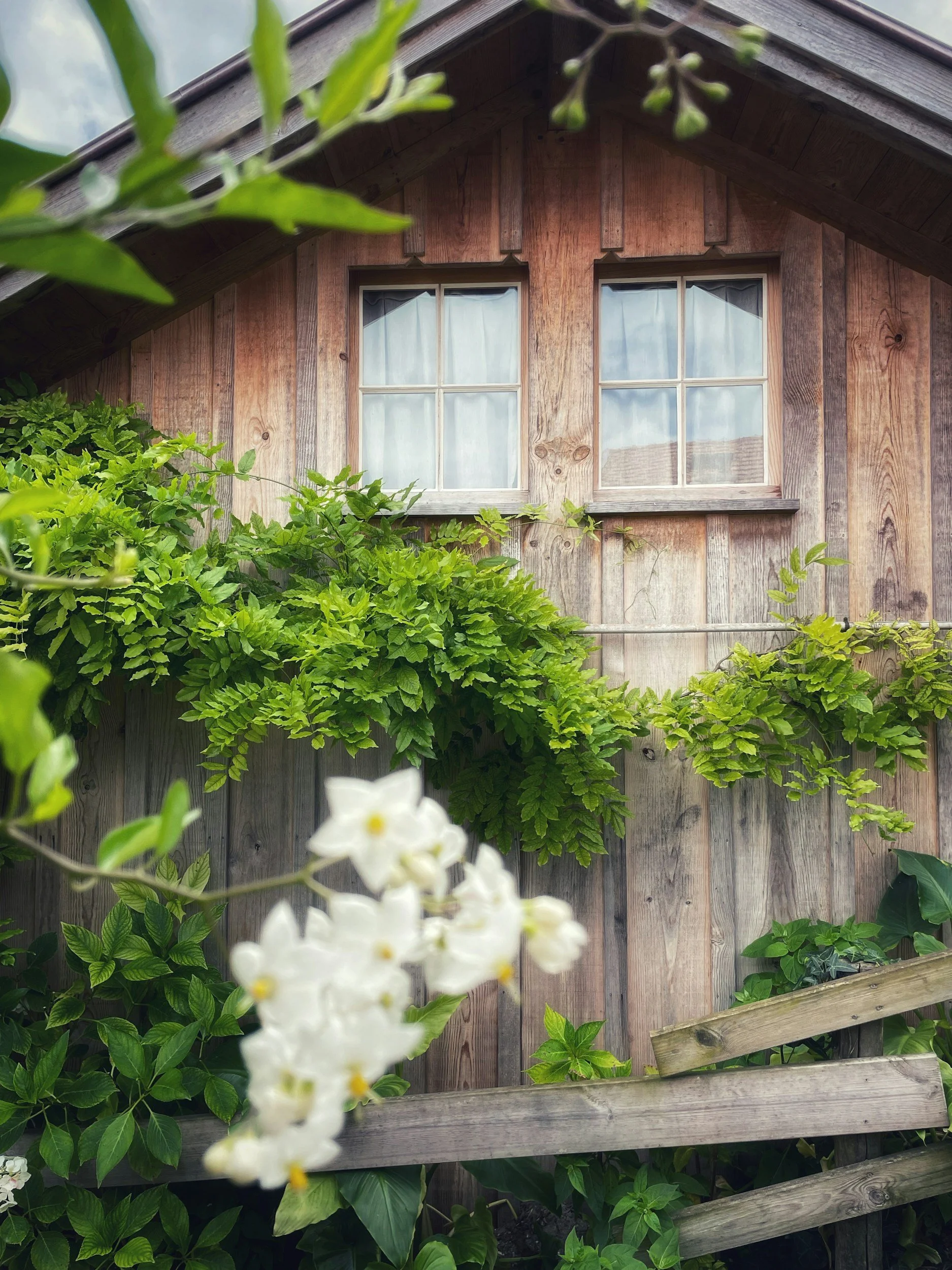 Spring Into Action: Boost Your Home’s Curb Appeal with Expert Guidance