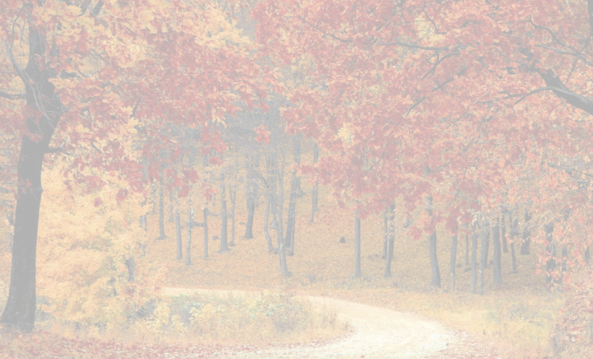Two Main Reasons Why We Won't See Foreclosures This Fall