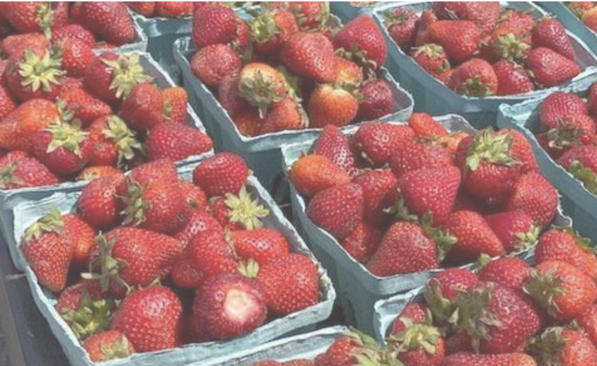 Summit Farmers Market - Celebrating 25 Years!