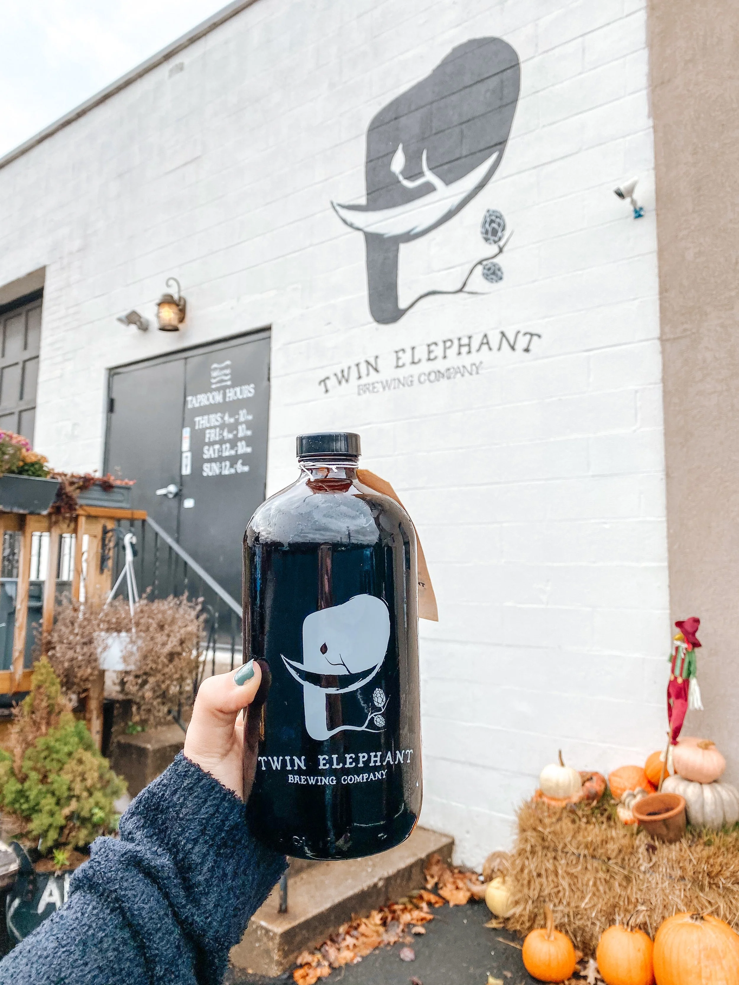 A person in a gray sweater holding a large black growler with the Twin Elephant Brewing Company logo in front of a white brick wall with the brewery's name and logo painted on it. Outside, pumpkins and hay are on the ground.