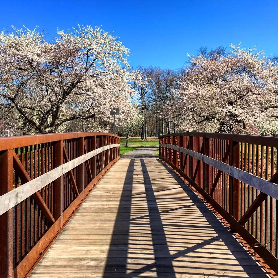 nomo.jpg