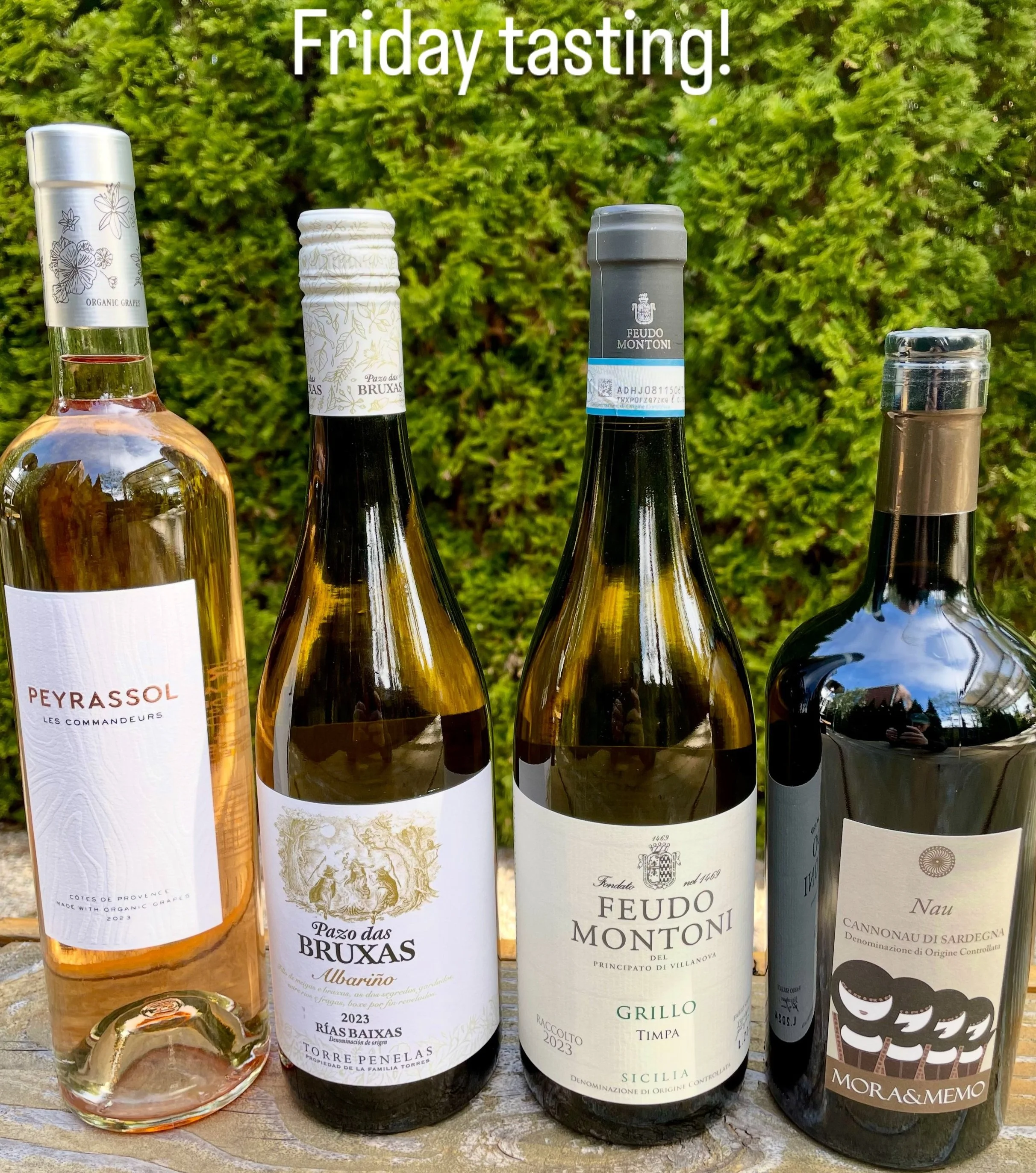 Wine Tasting!