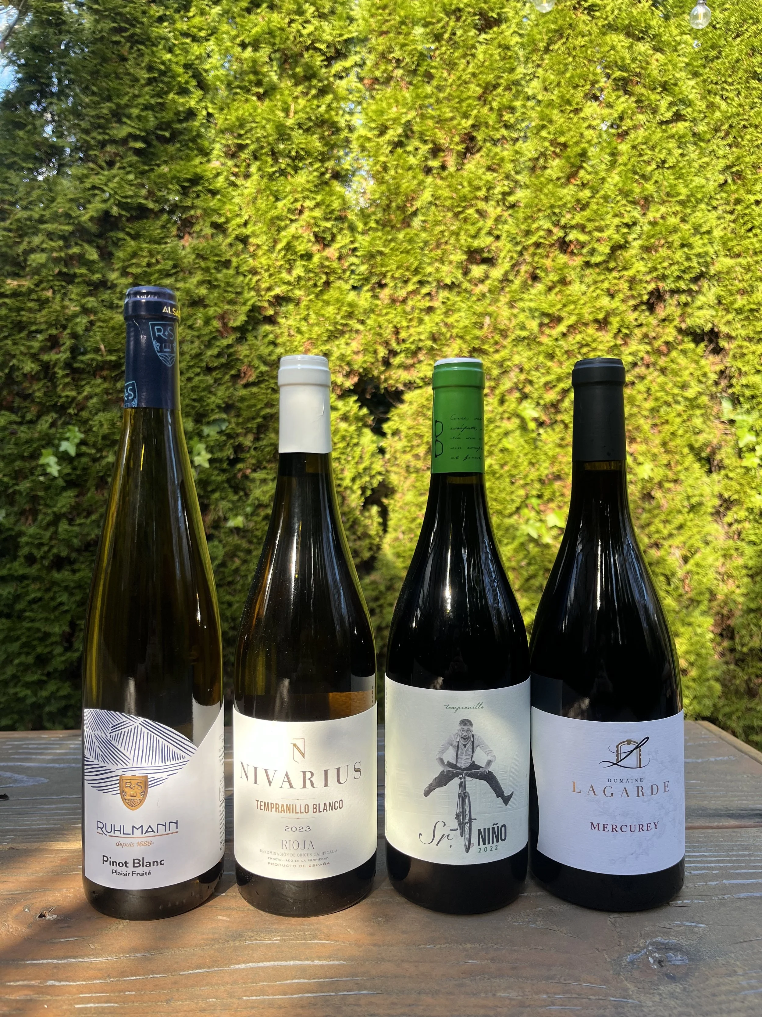 Take a Trip to Europe!