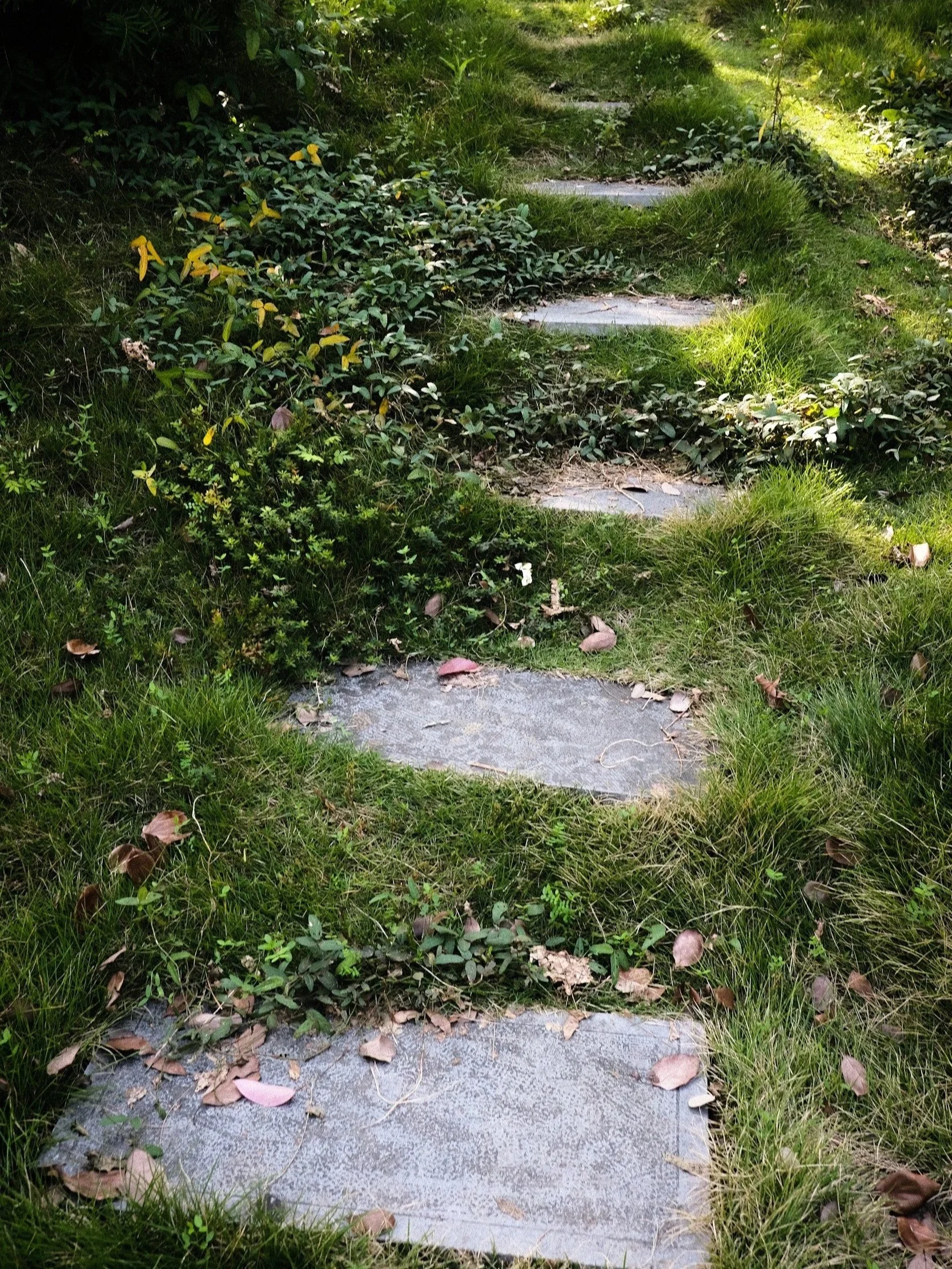Stepping stones representing progress at your own pace