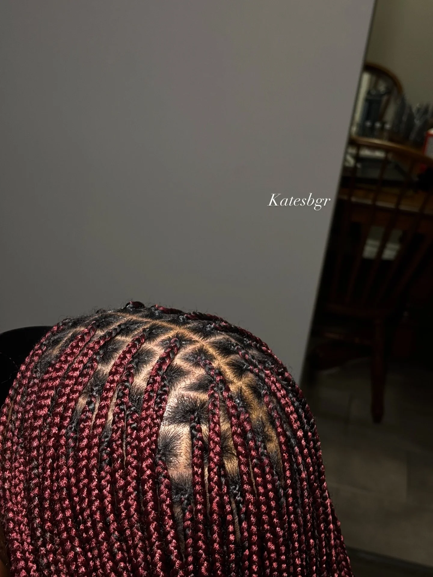 Small knotless braids 
Color - Burgundy 😍
