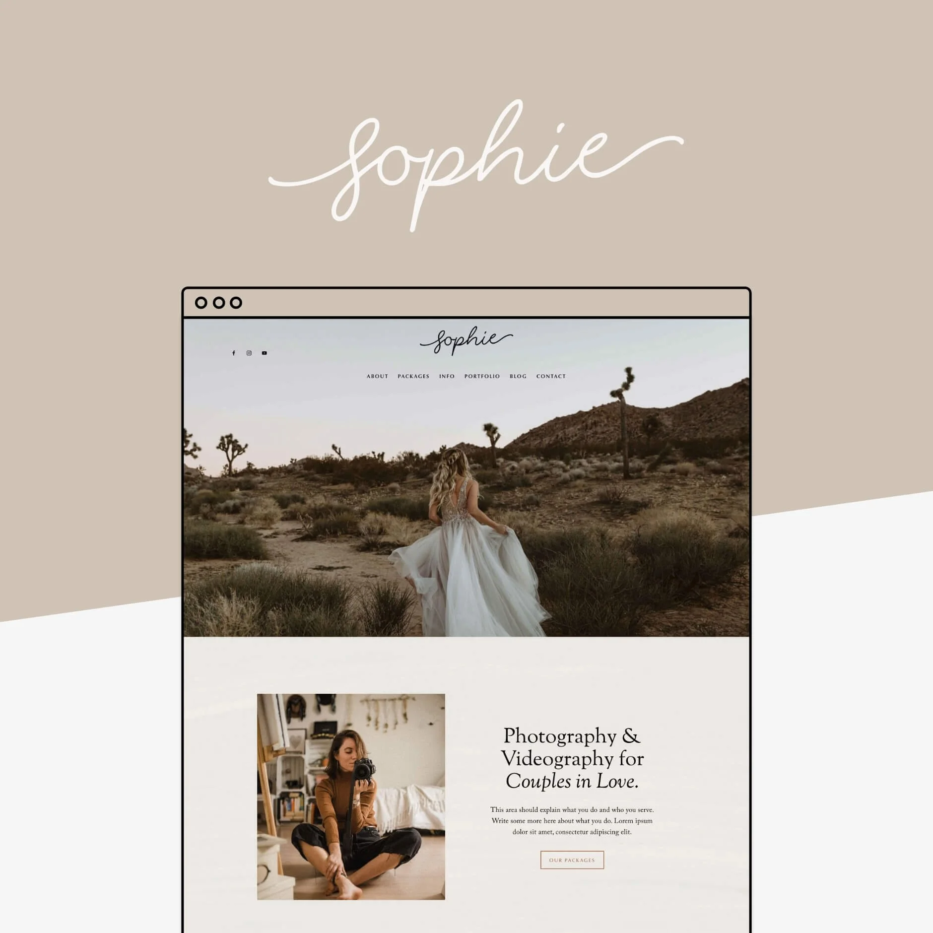 Squarespace Website Template Big Cat Creative