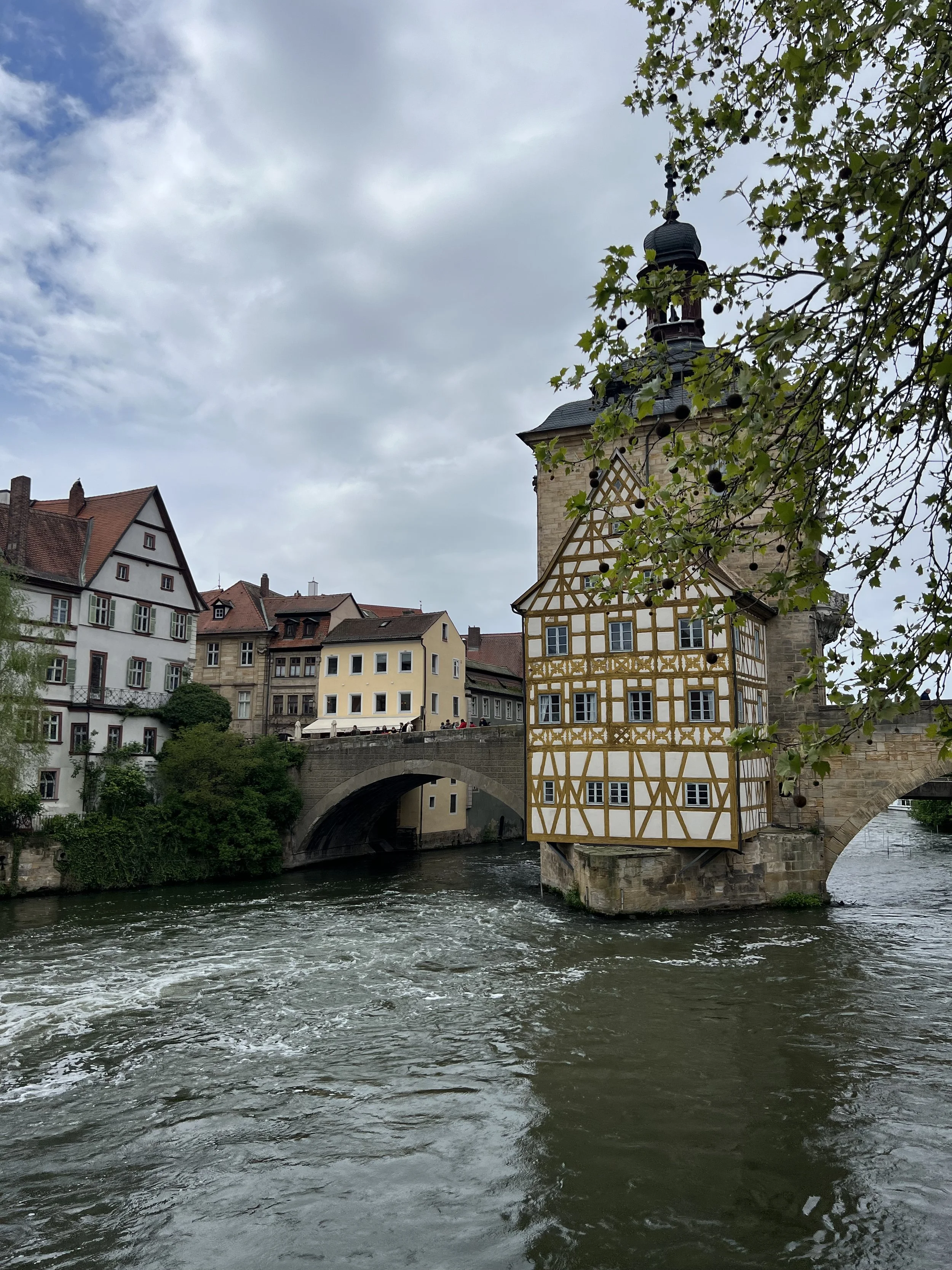 IMG_7701.jpeg