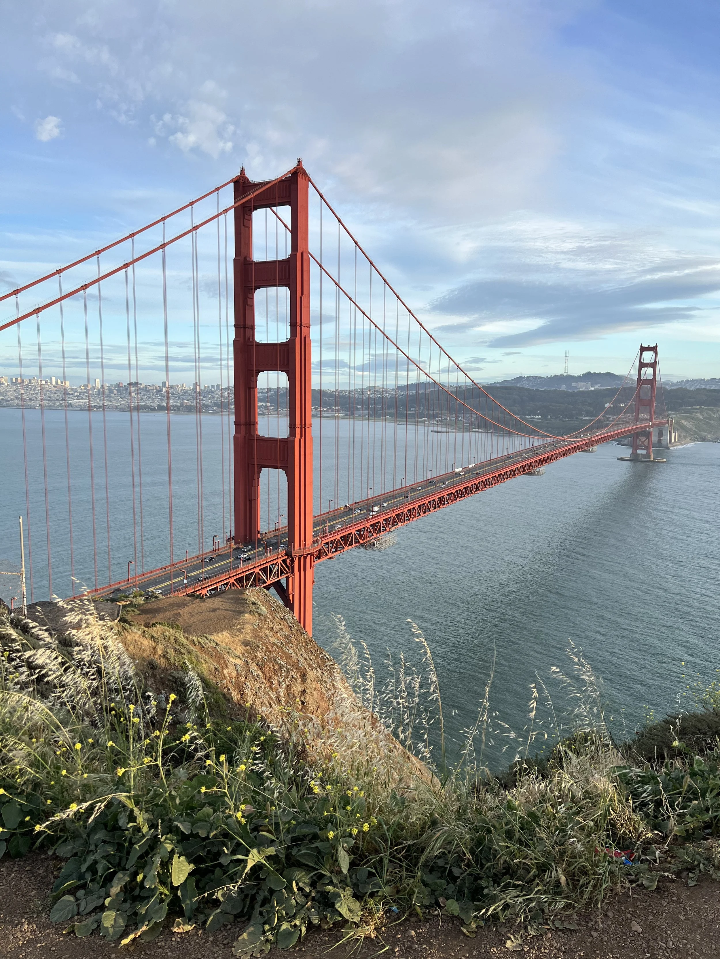 IMG_1881.jpeg