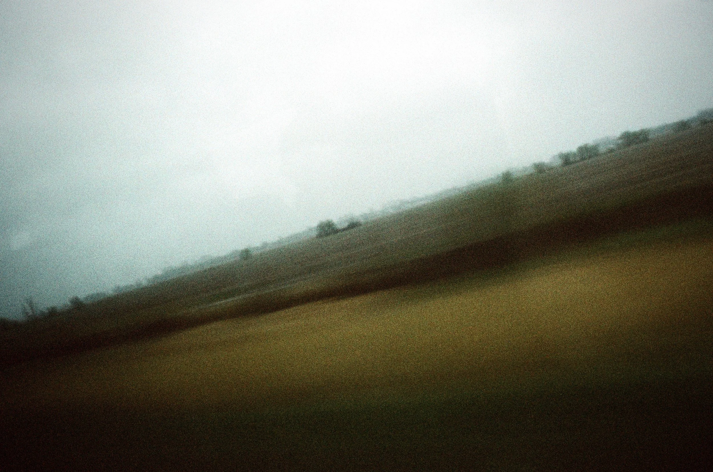 A Poem by Mona Elaine Adilman