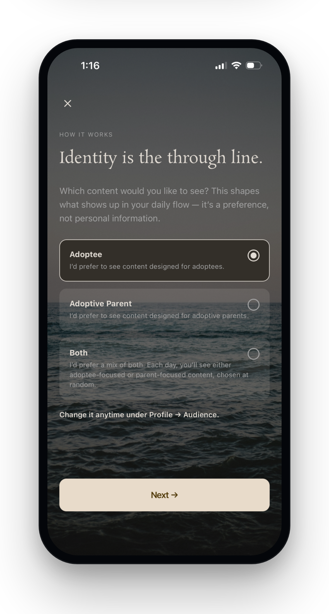Choosing your audience in Unfolding — adoptee, adoptive parent, or both