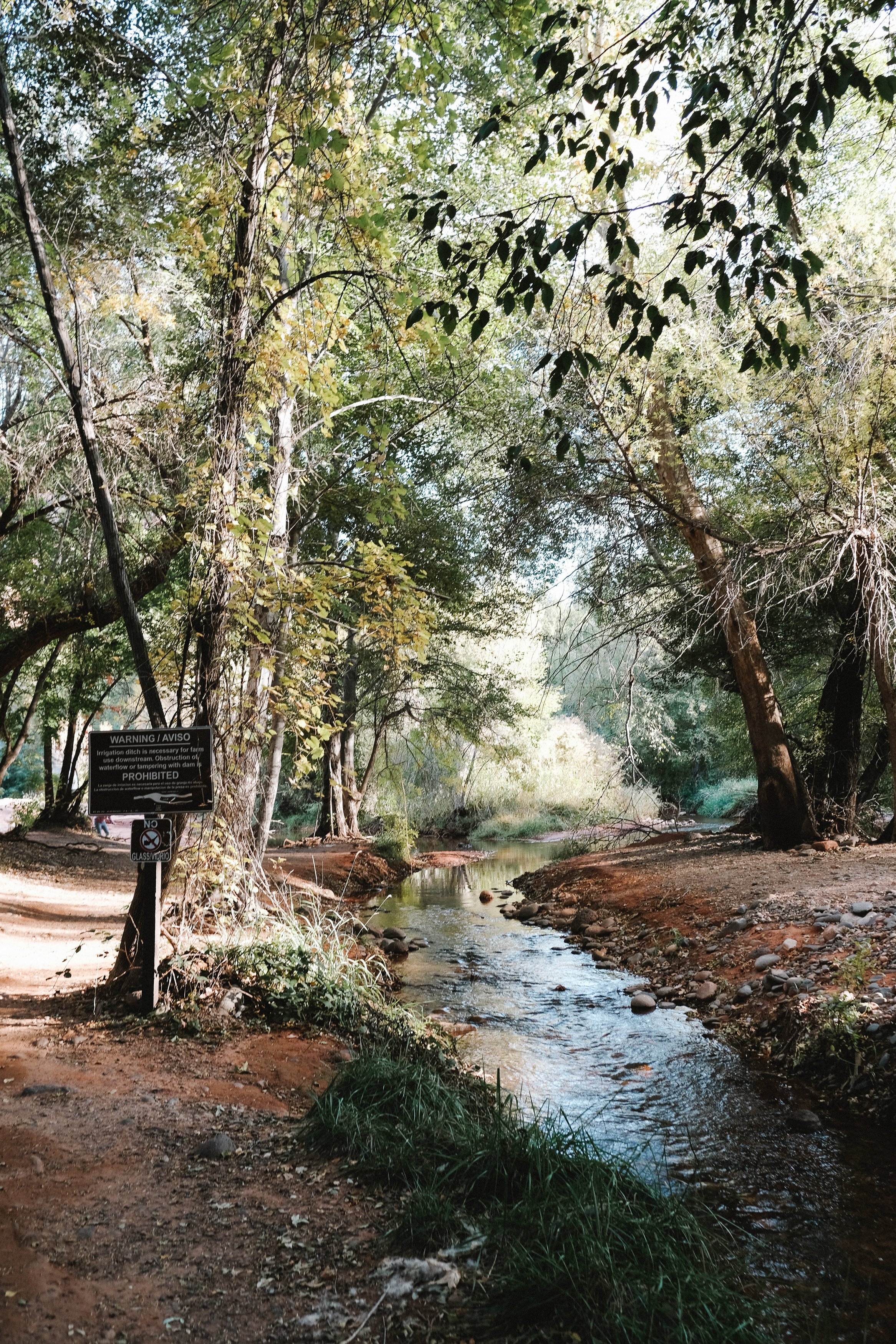 DSCF2135.jpg