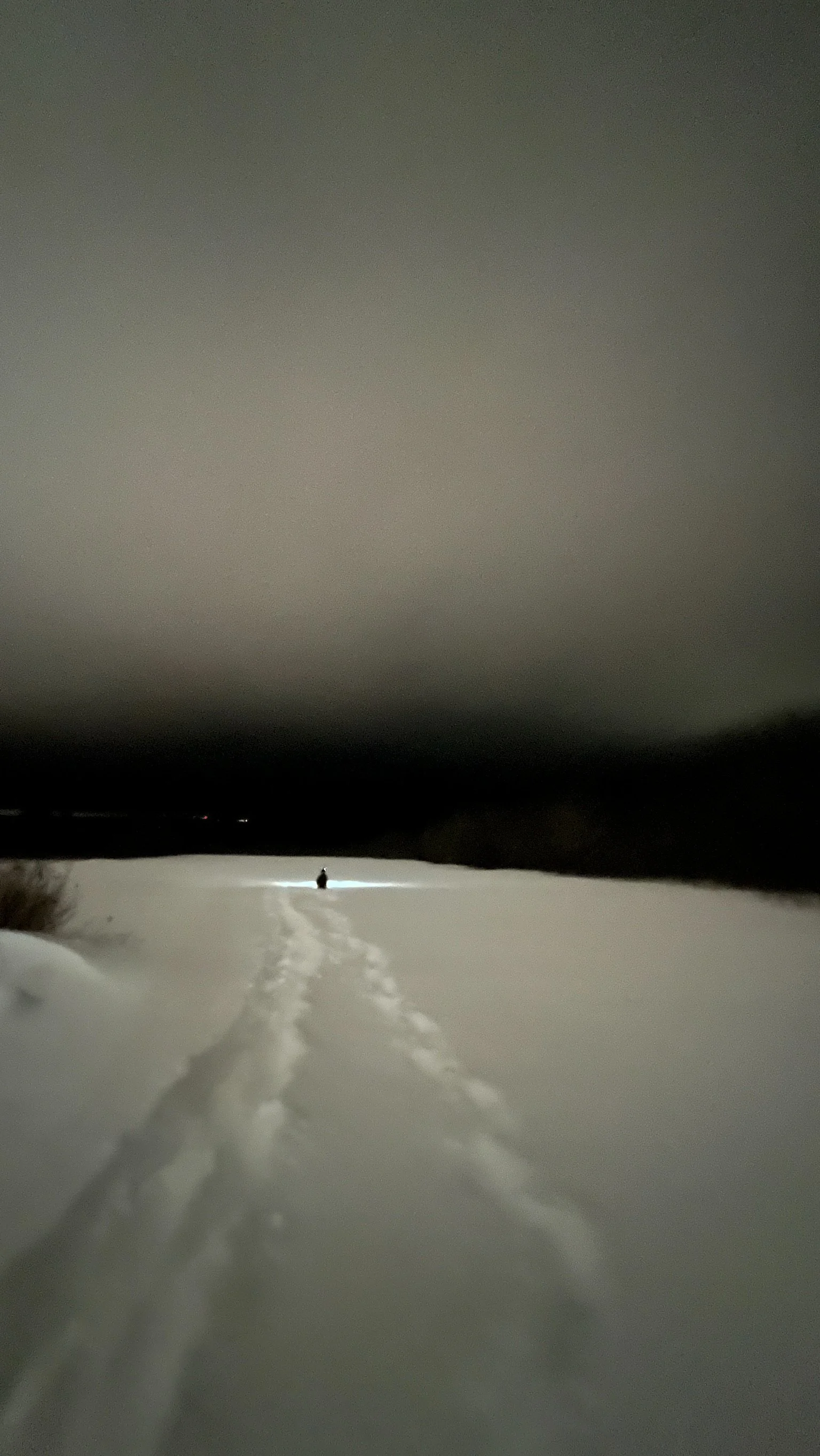 Control and fear or love