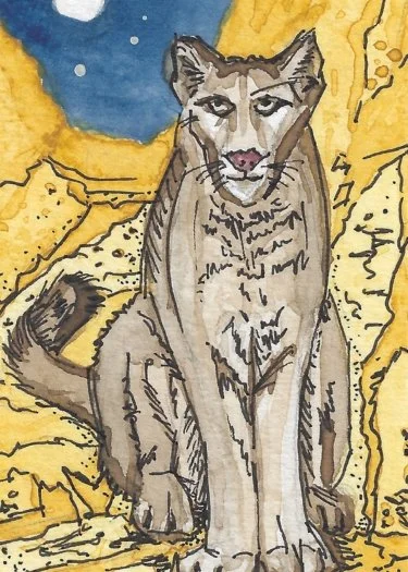 Judgement - Website.jpg