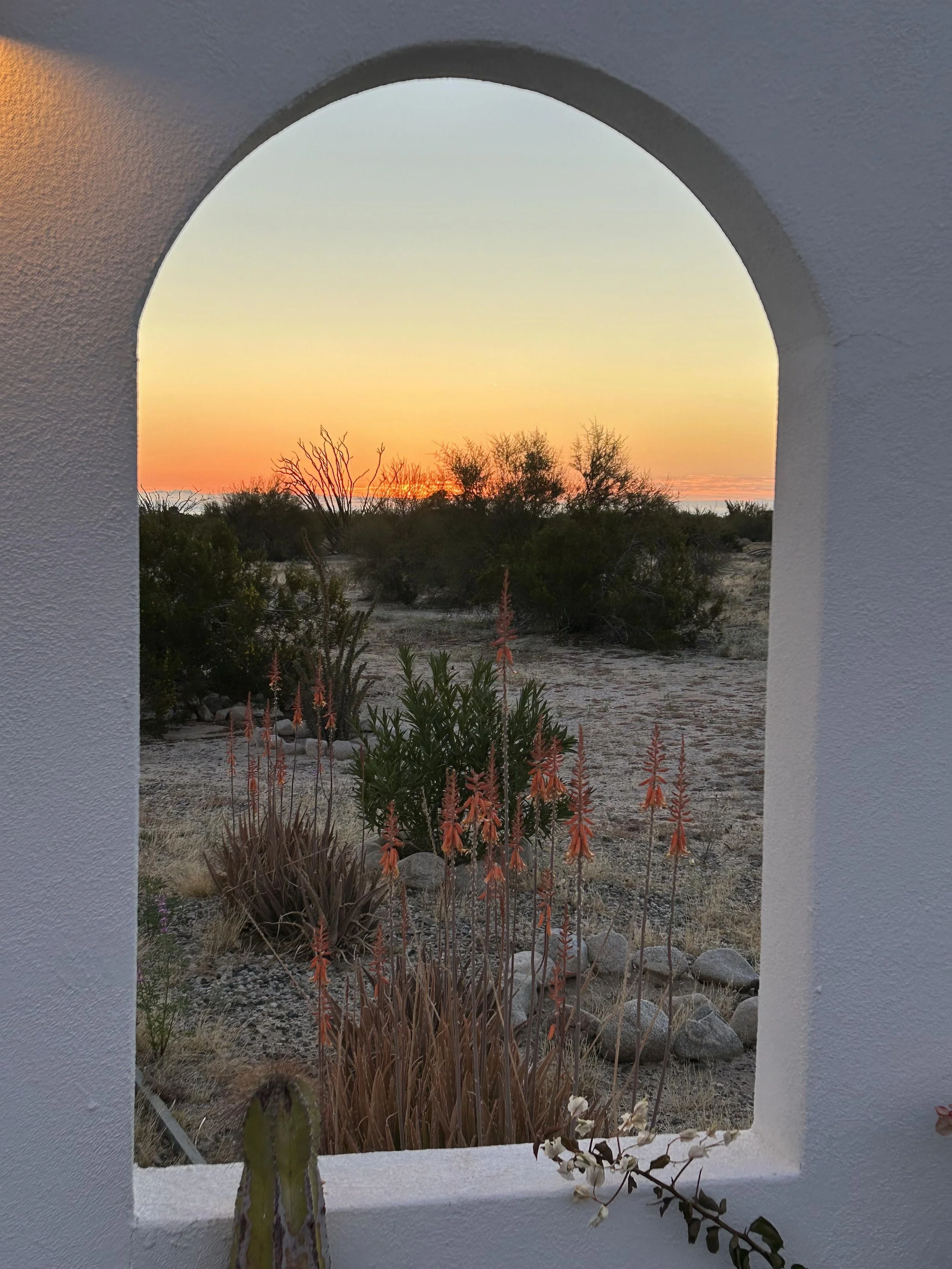 Finding Baja