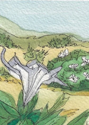 King of Wands - Website.jpg