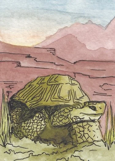 The Emperor - Website.jpg