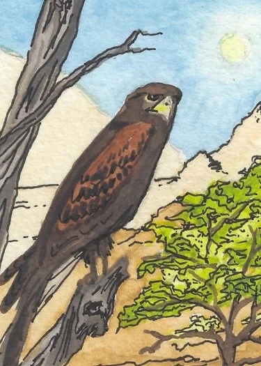 The Chariot - Website.jpg