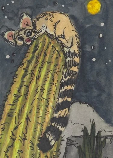 The Moon - Website.jpg