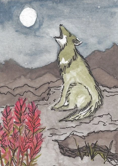 The Fool - Website.jpg