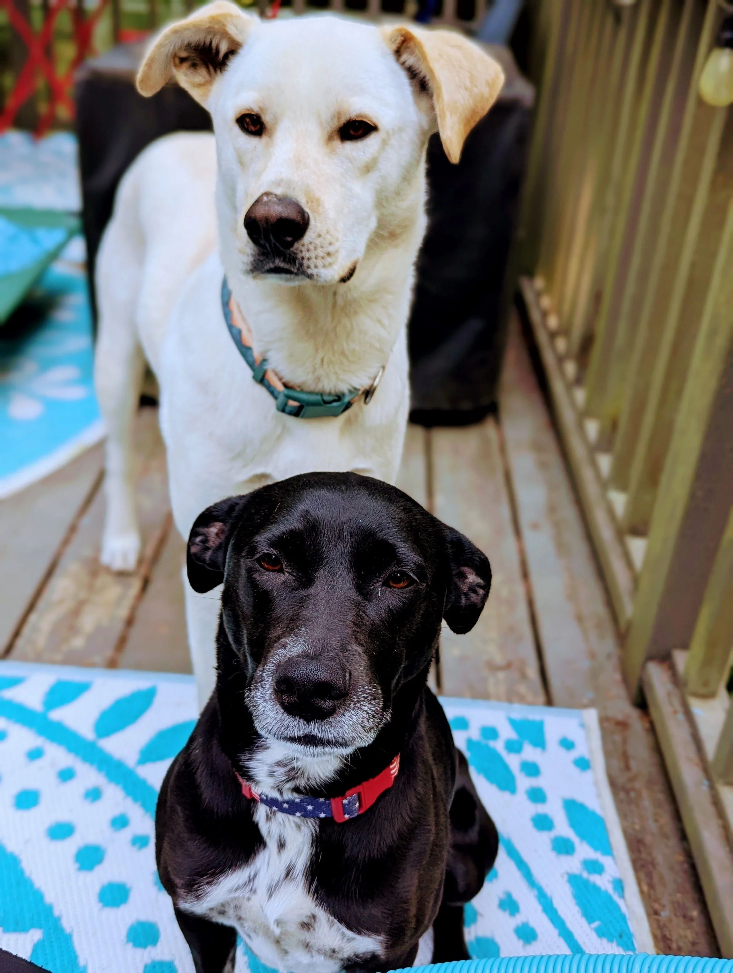 Forty & Penny