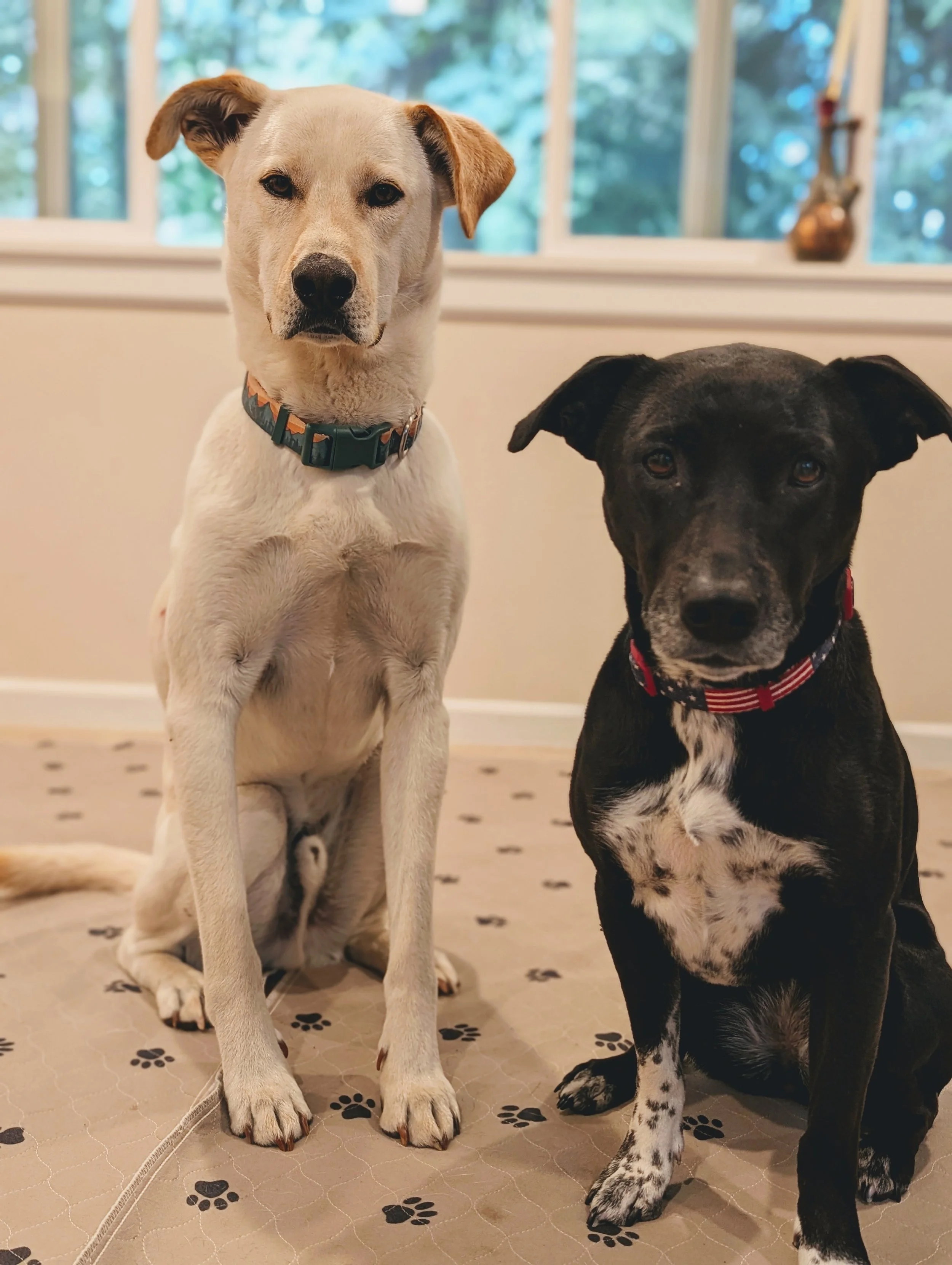 Forty & Penny