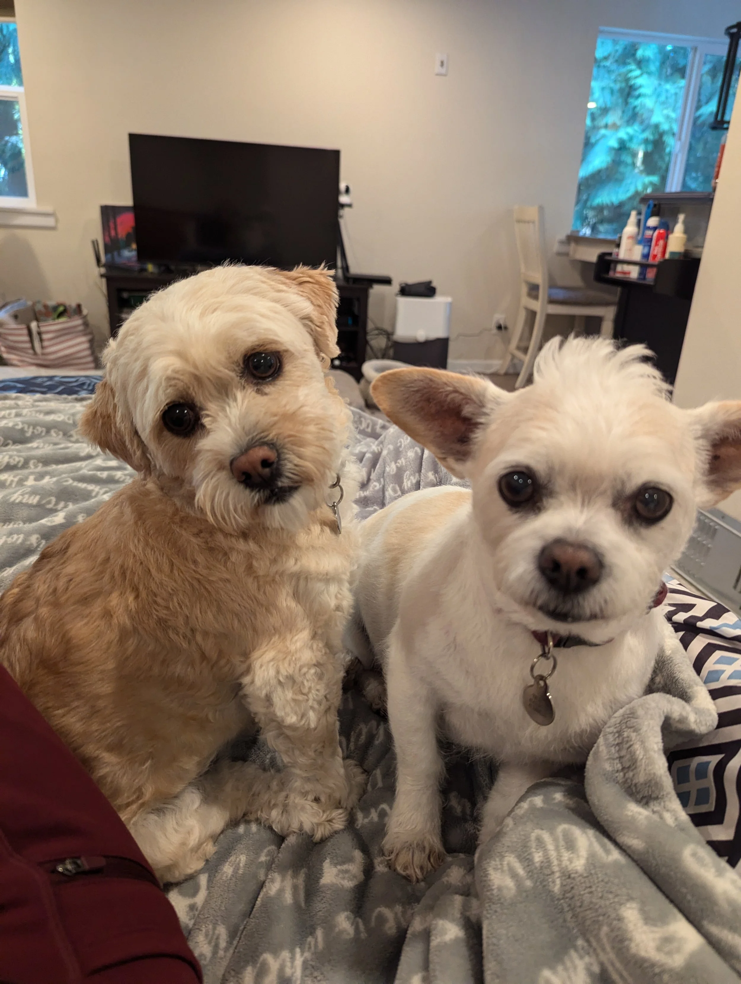 Trudie & Wyatt