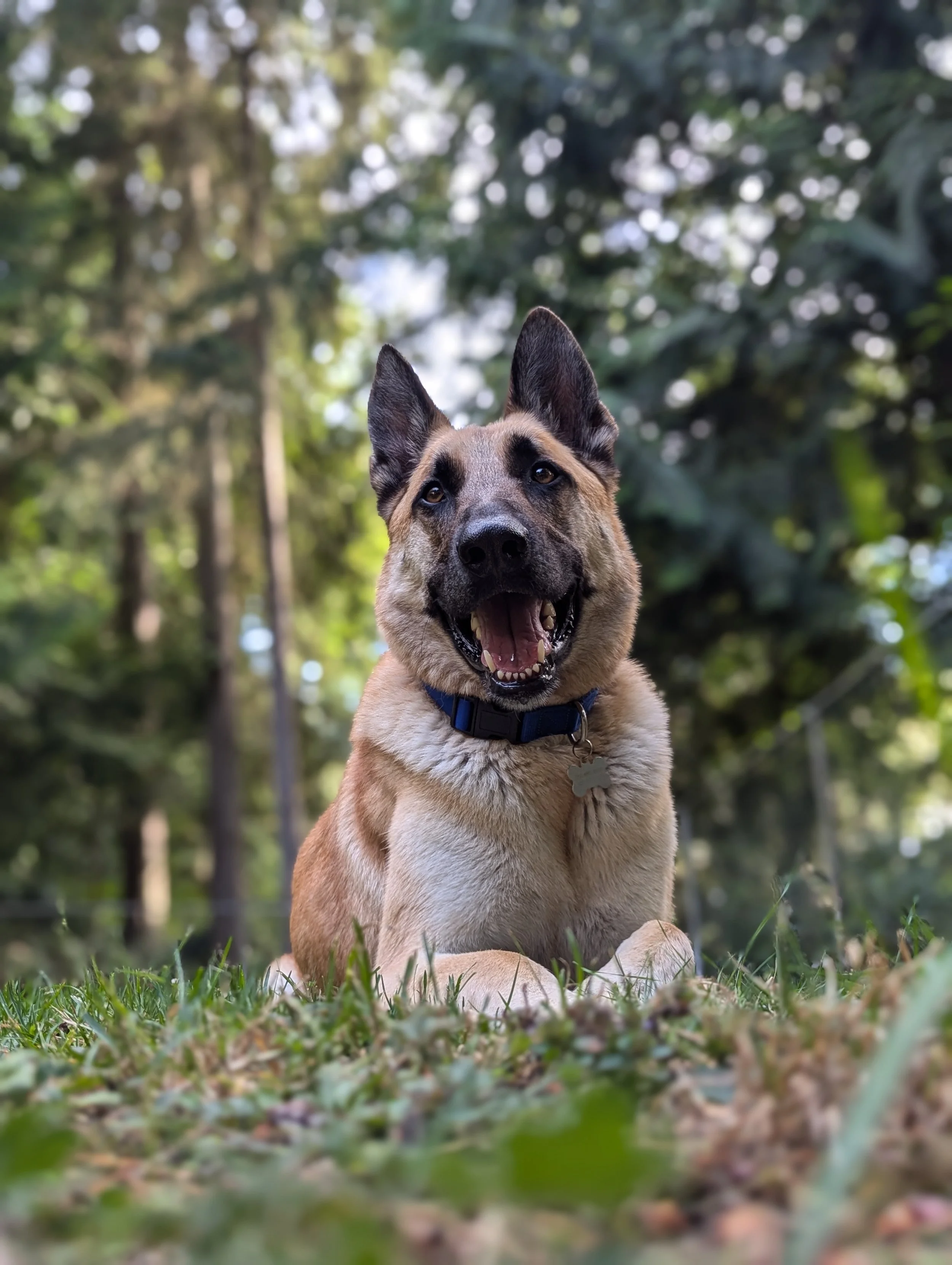 Sam