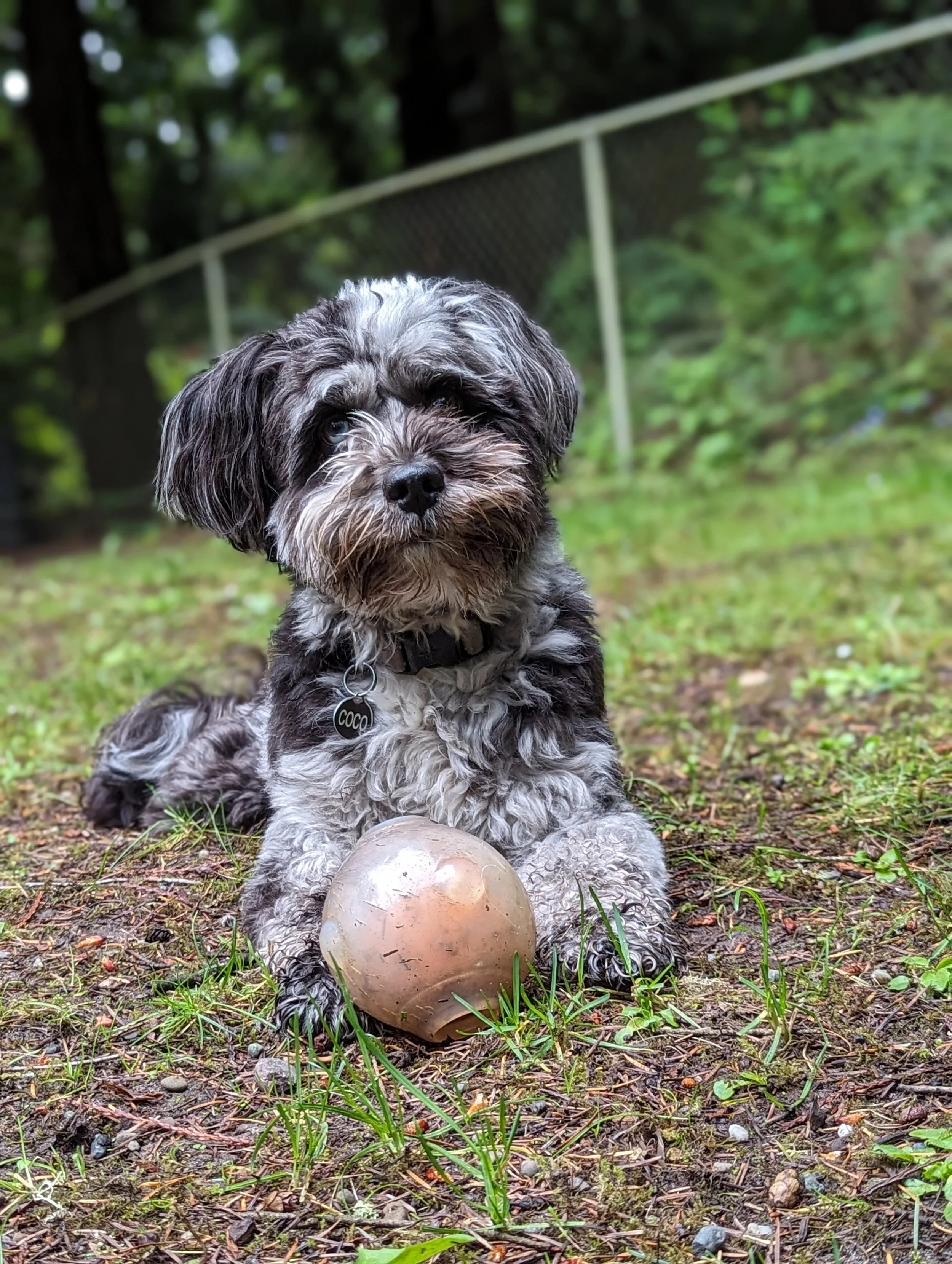 Coco