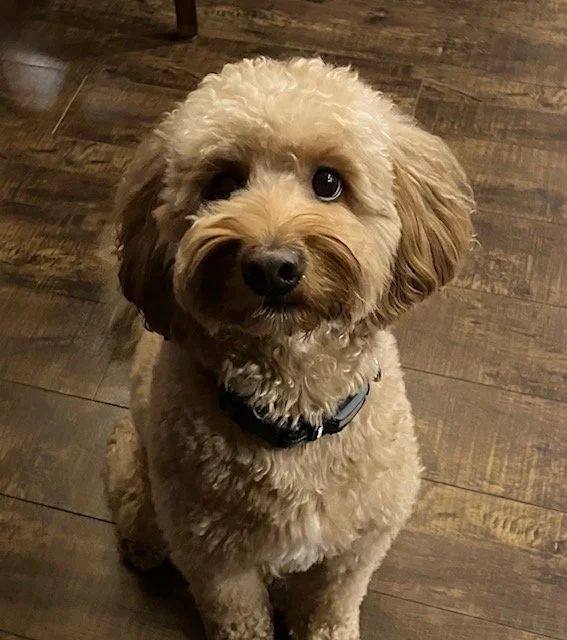 Rusty
