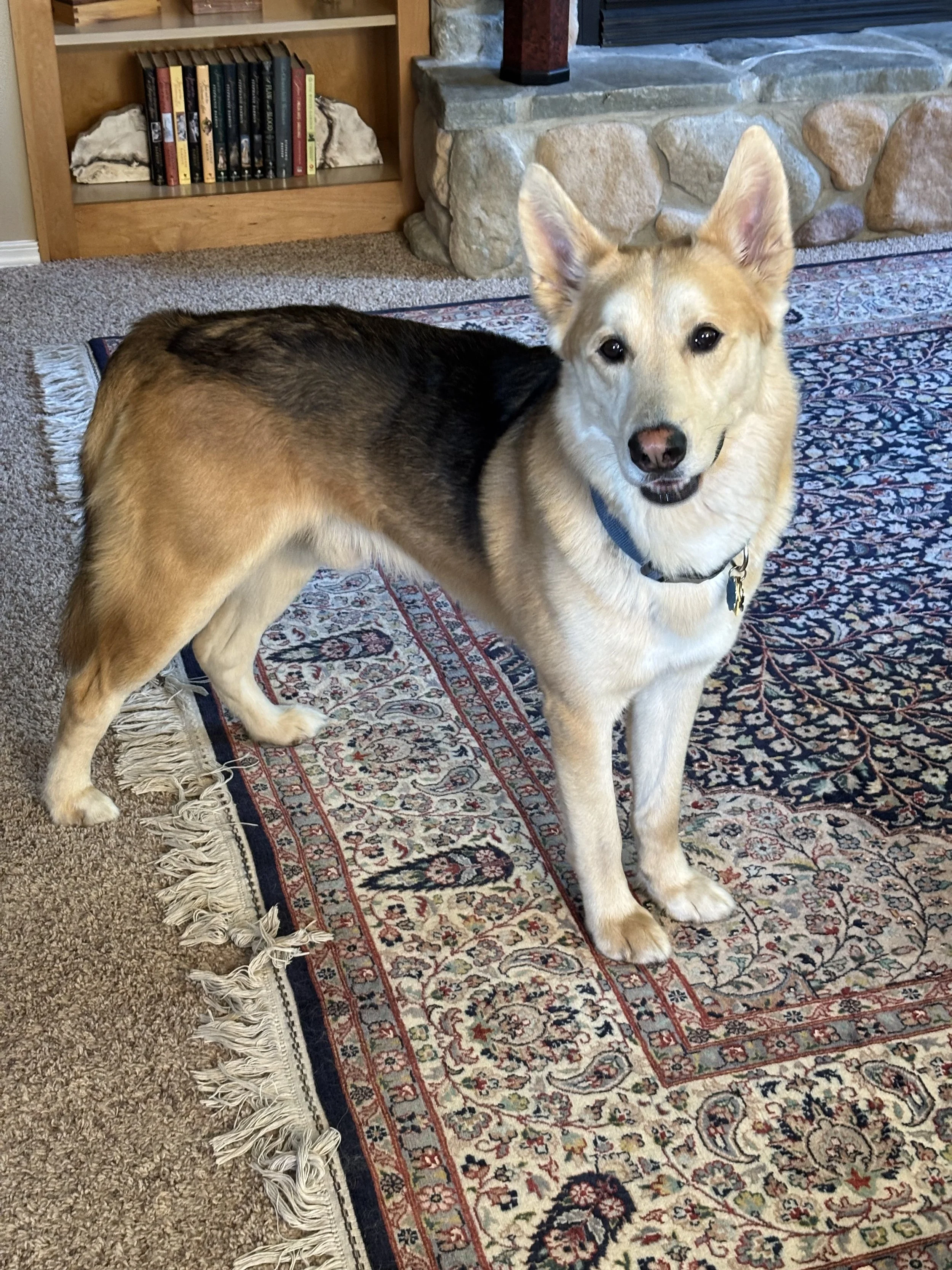 Finn
