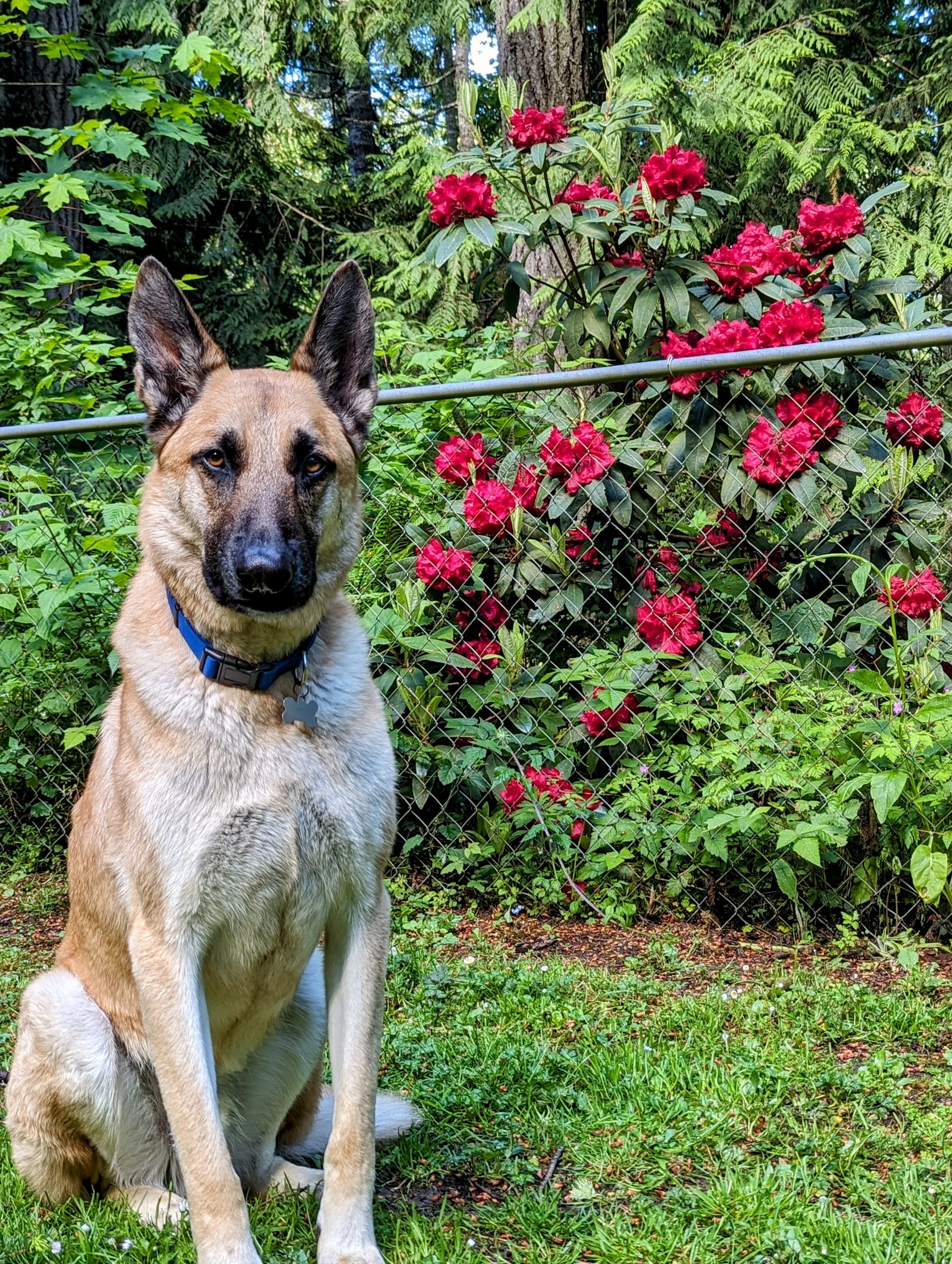 Sam