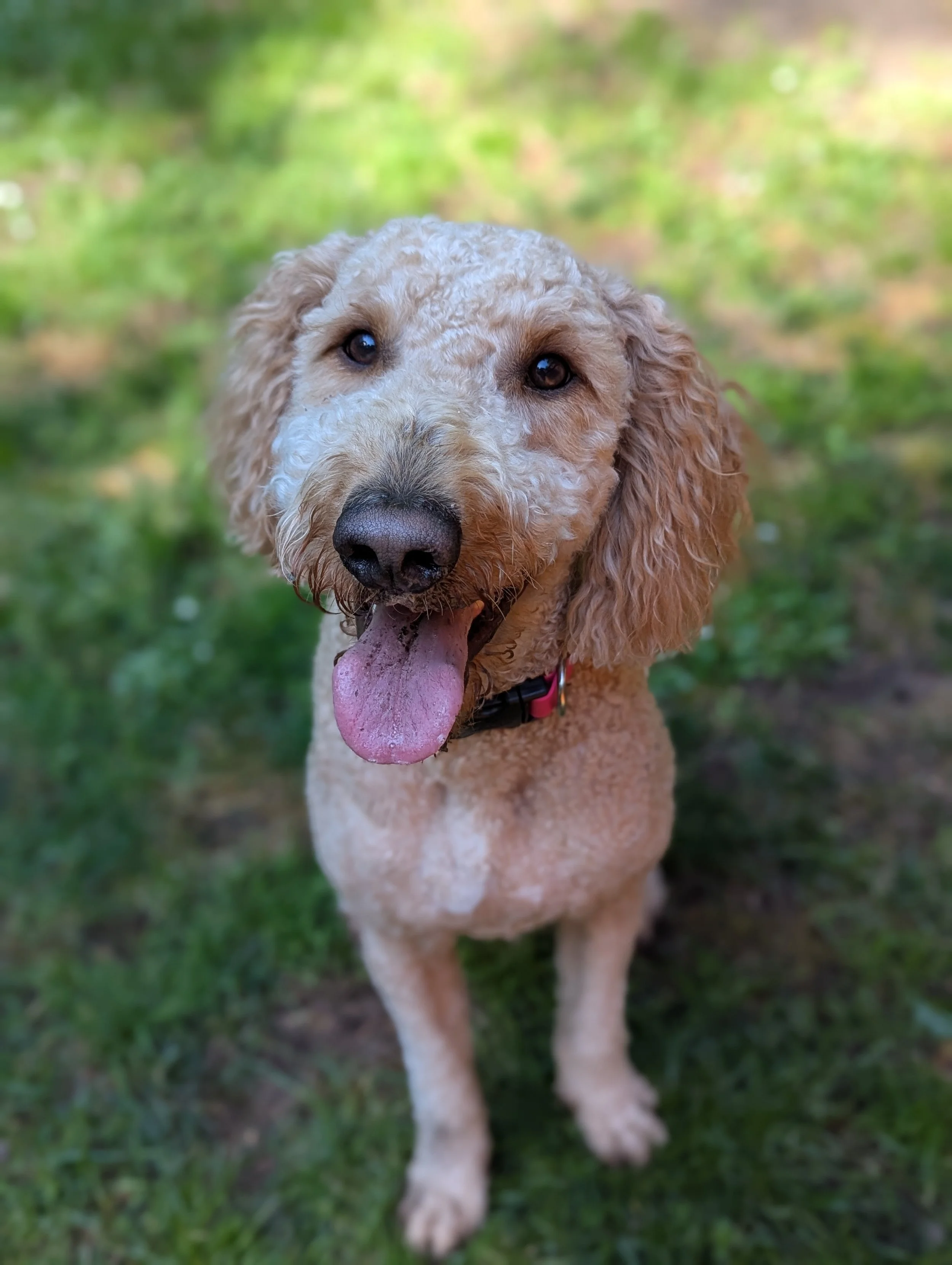Millie