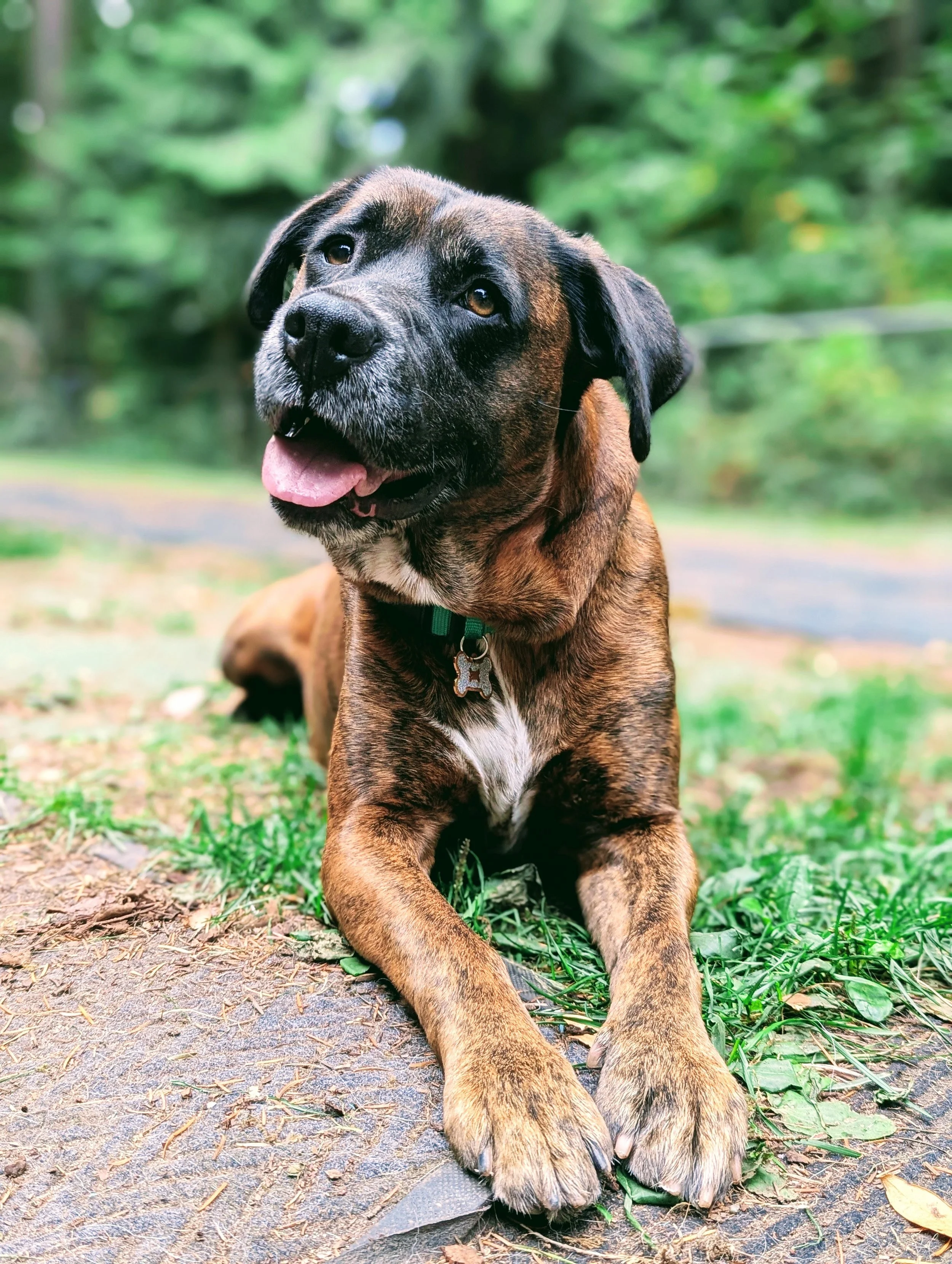 Bonnie