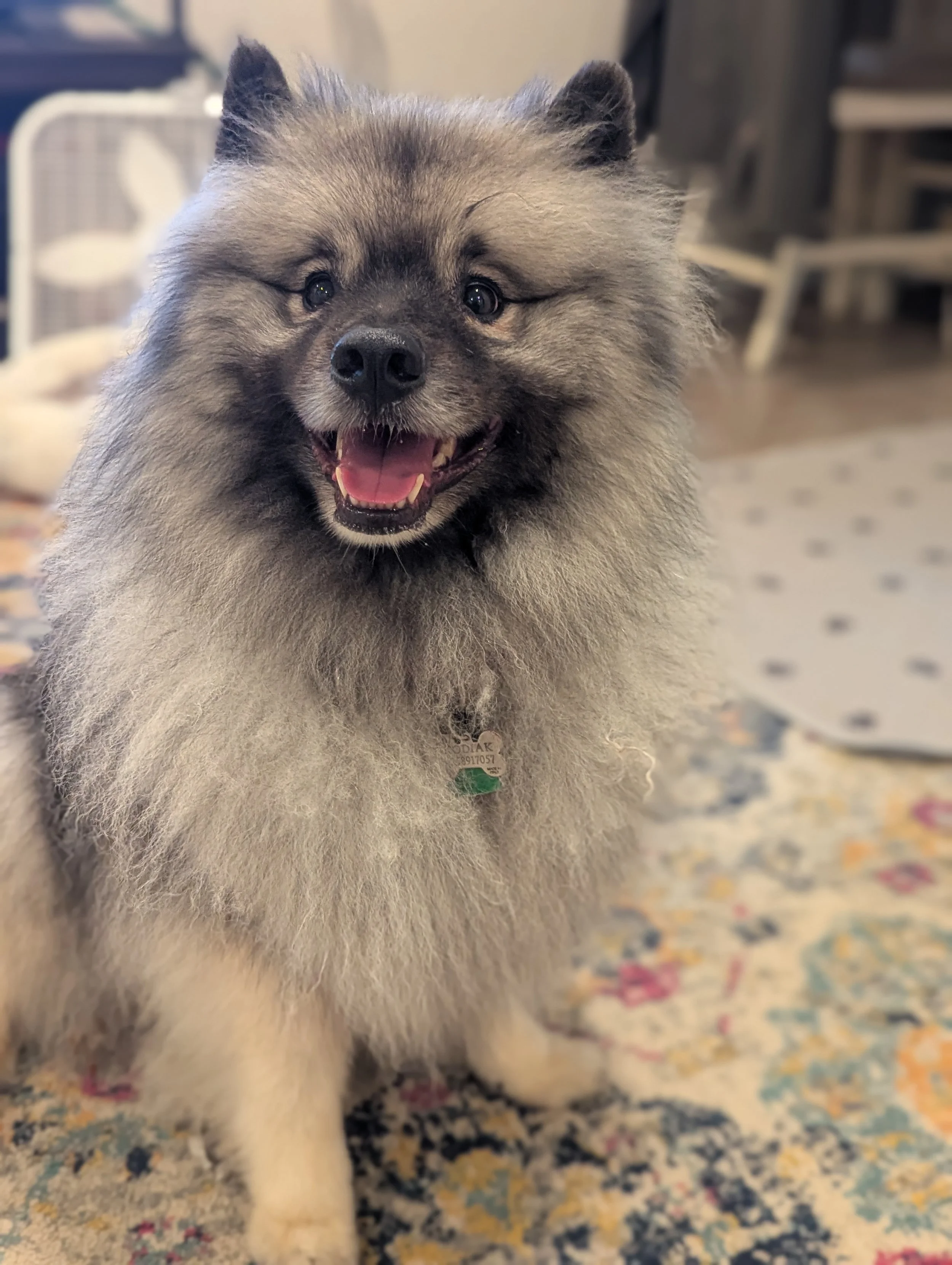 Kodiak