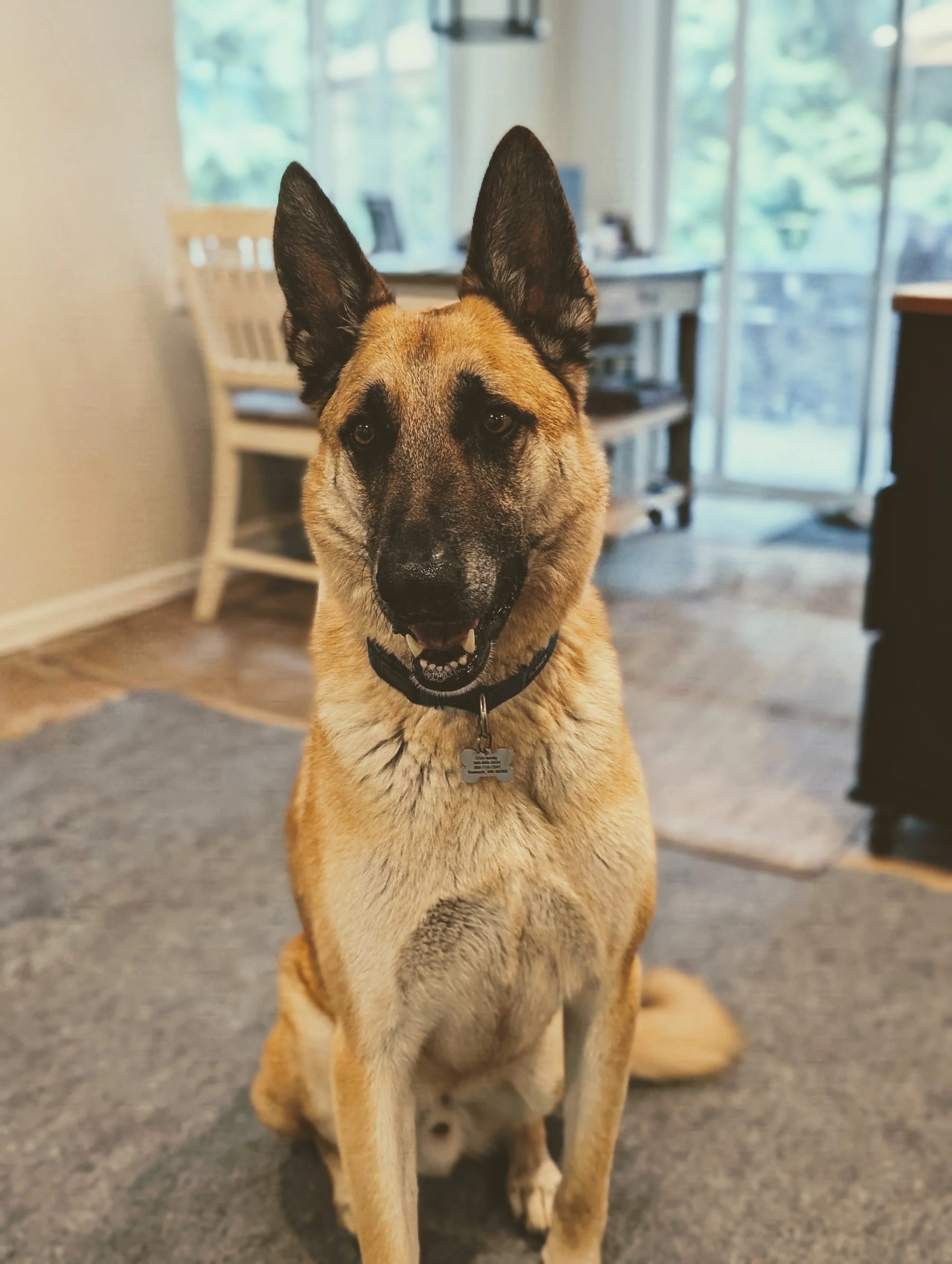 Sam