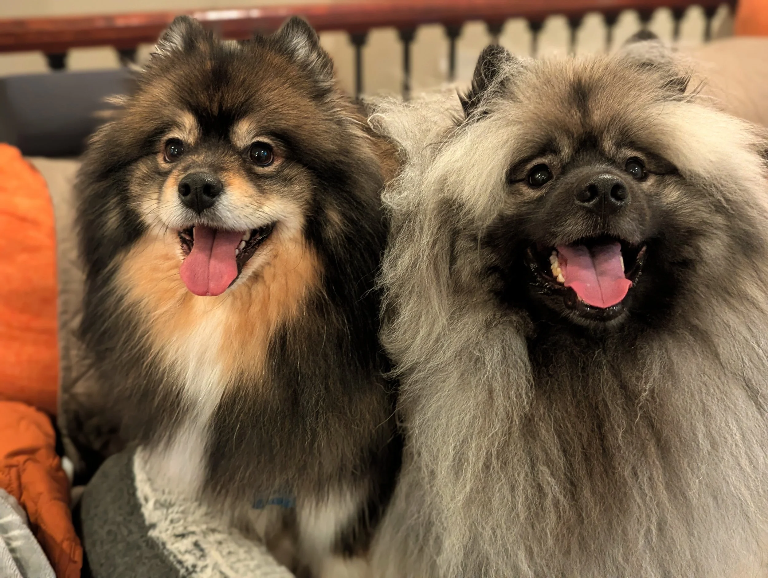 Olaf & Oscar