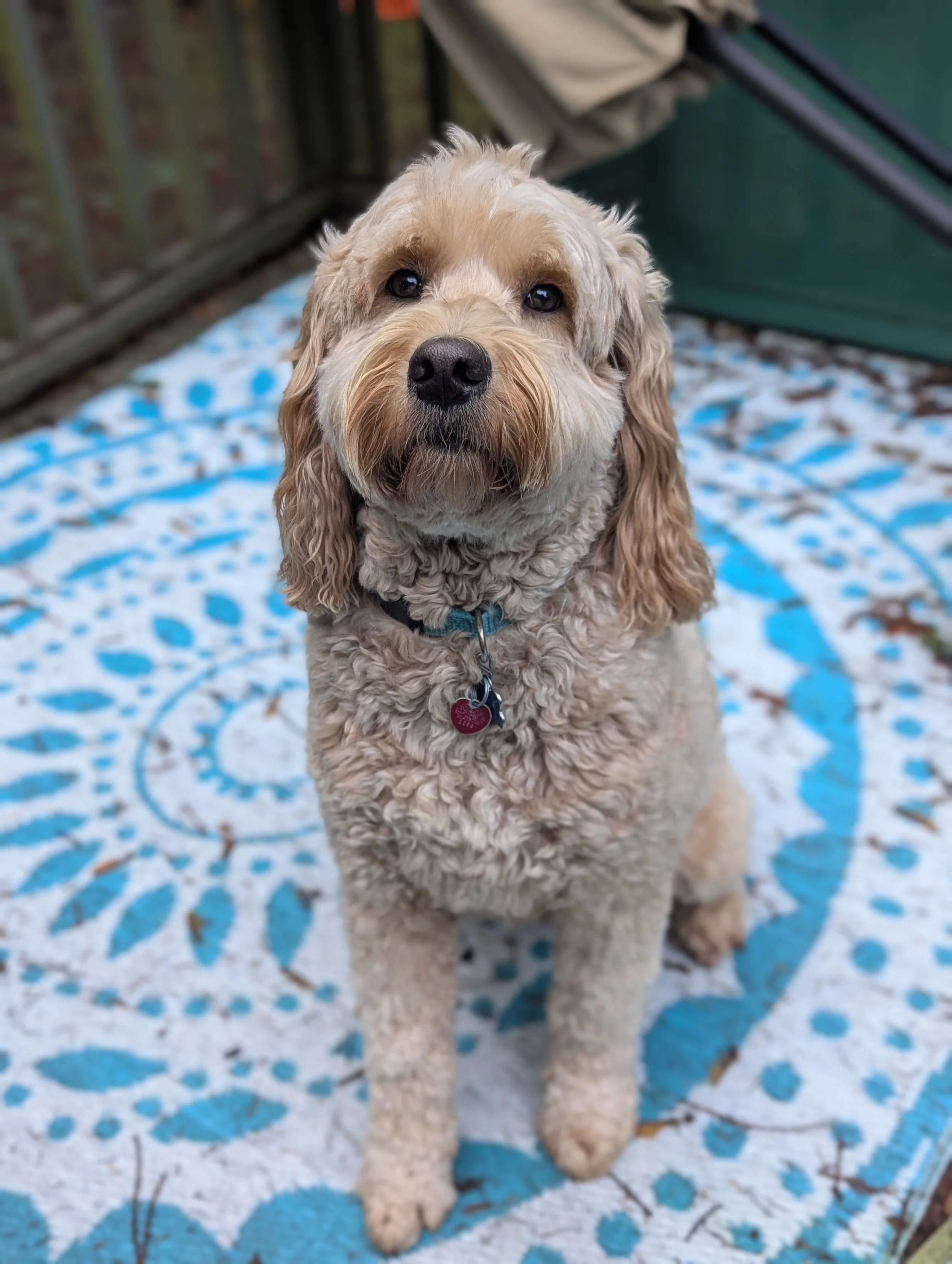 Remy 1_27 - 1_28_25.jpg