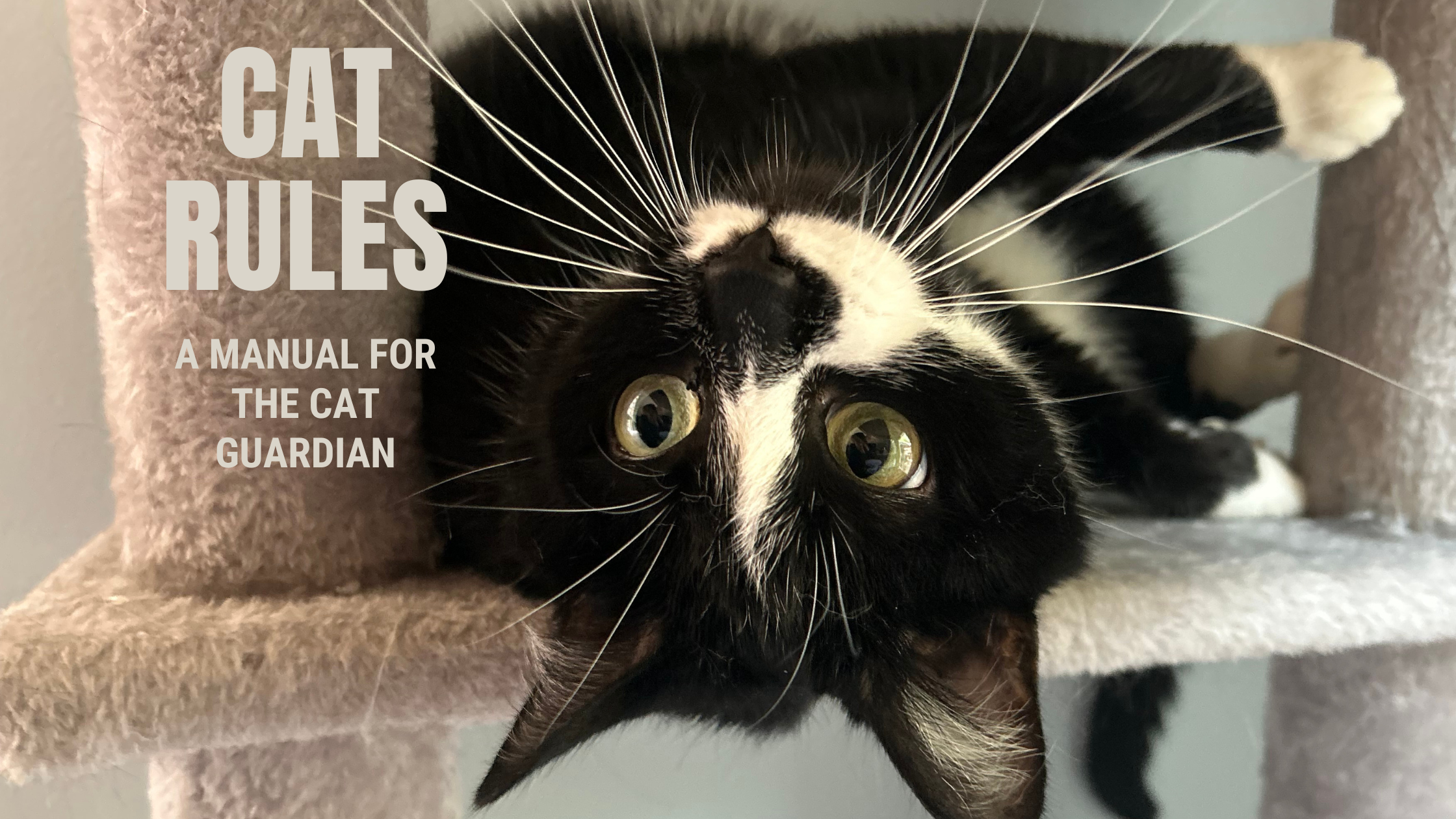 Cat Rules - A Manual for the Cat Guardian.