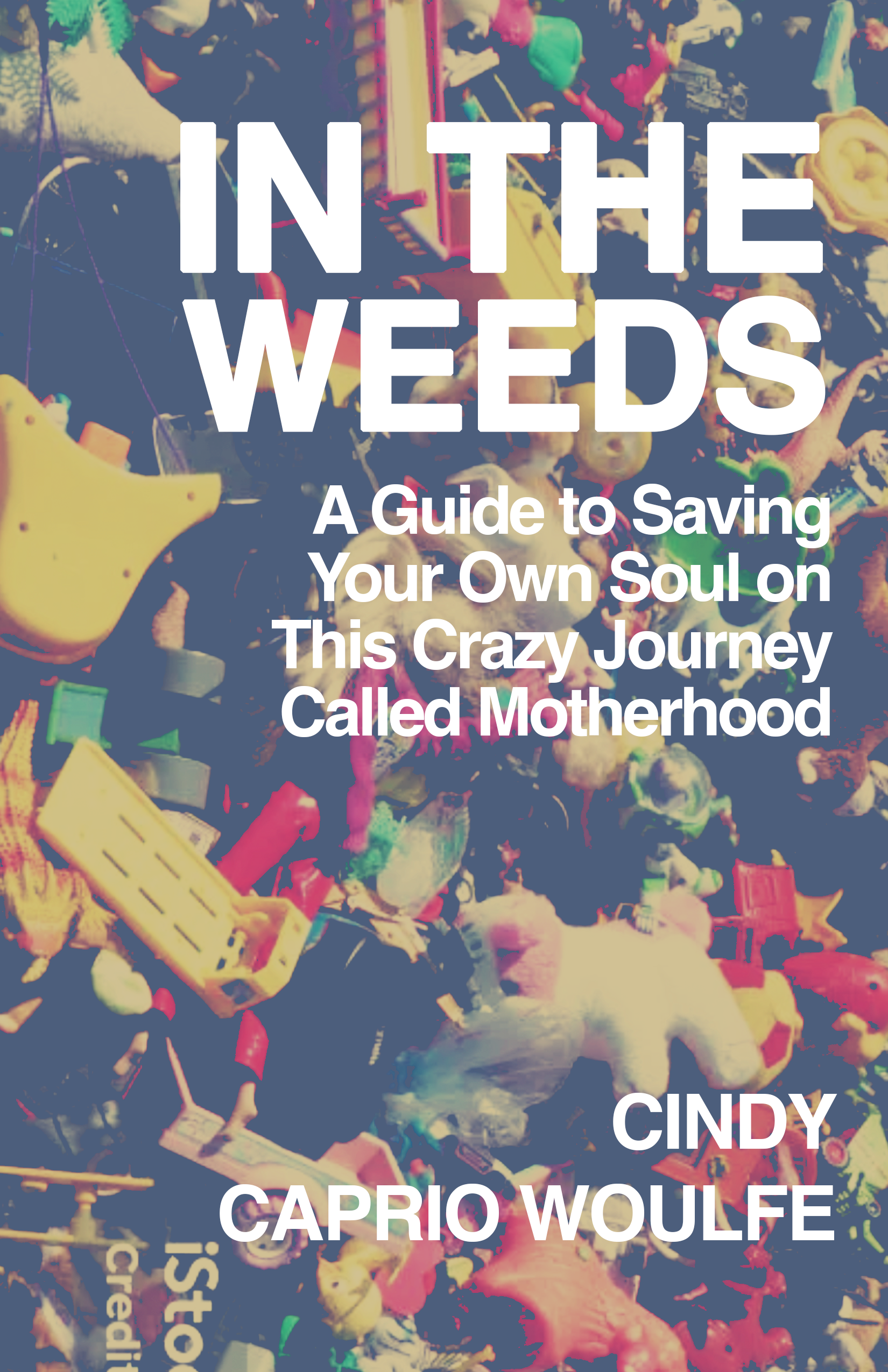 WEEDS TOYS NEW.png