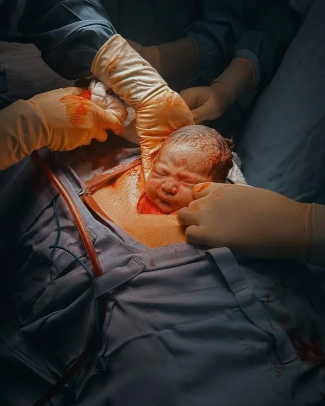 WhatsApp Image 2025-01-10 at 19.29.31.jpg