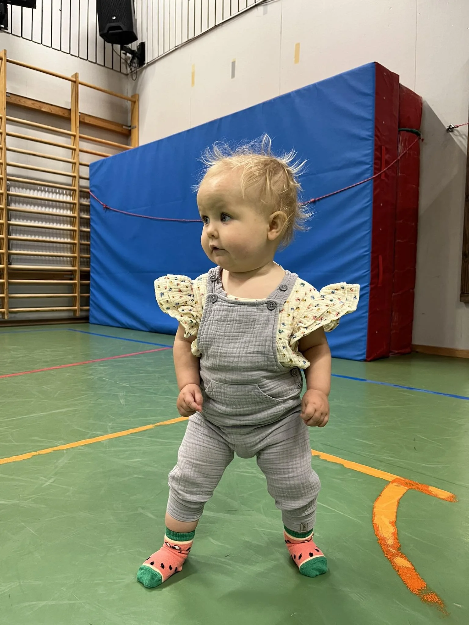 Mini-gympa. April 2026