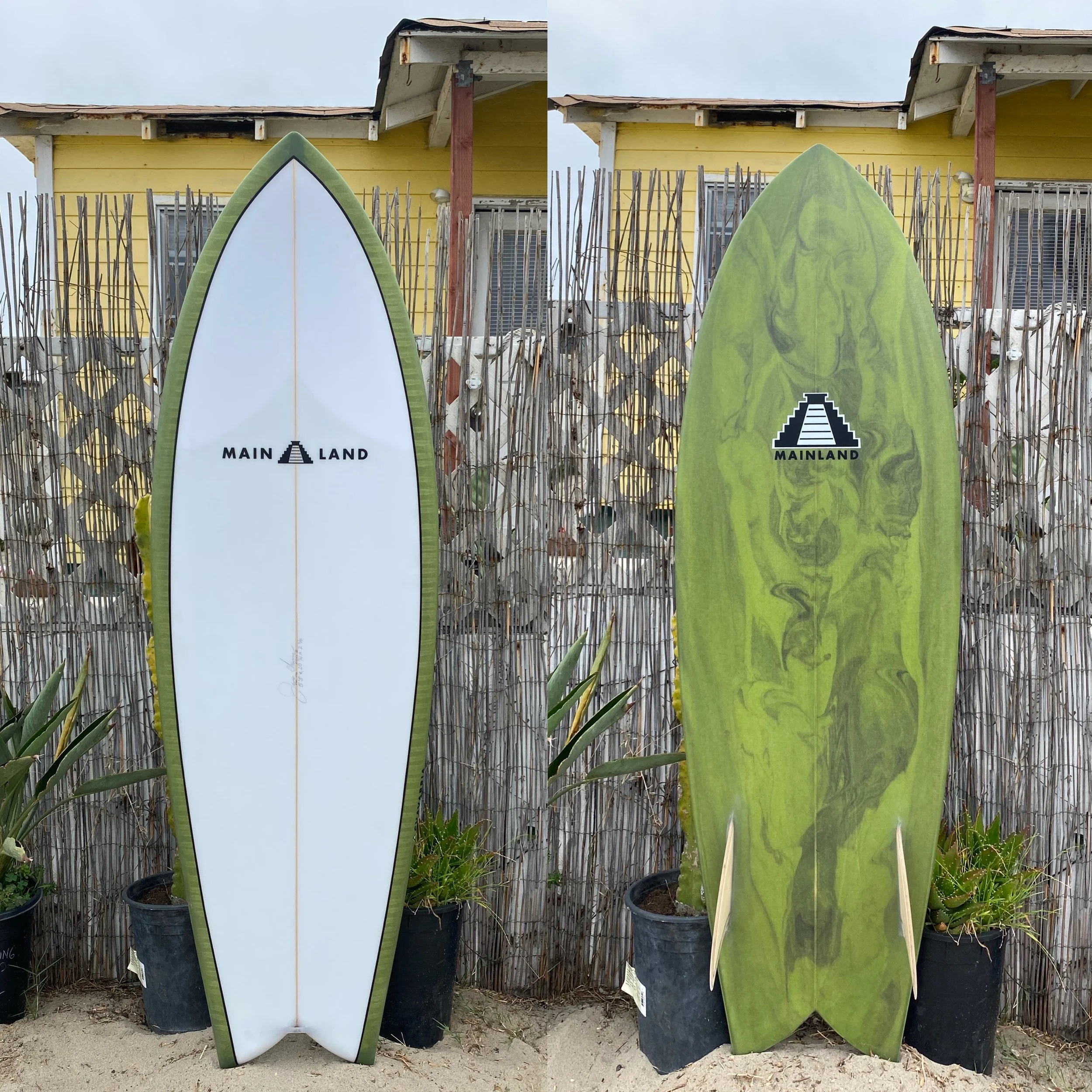 Fishy tabla de surf verde abstracto