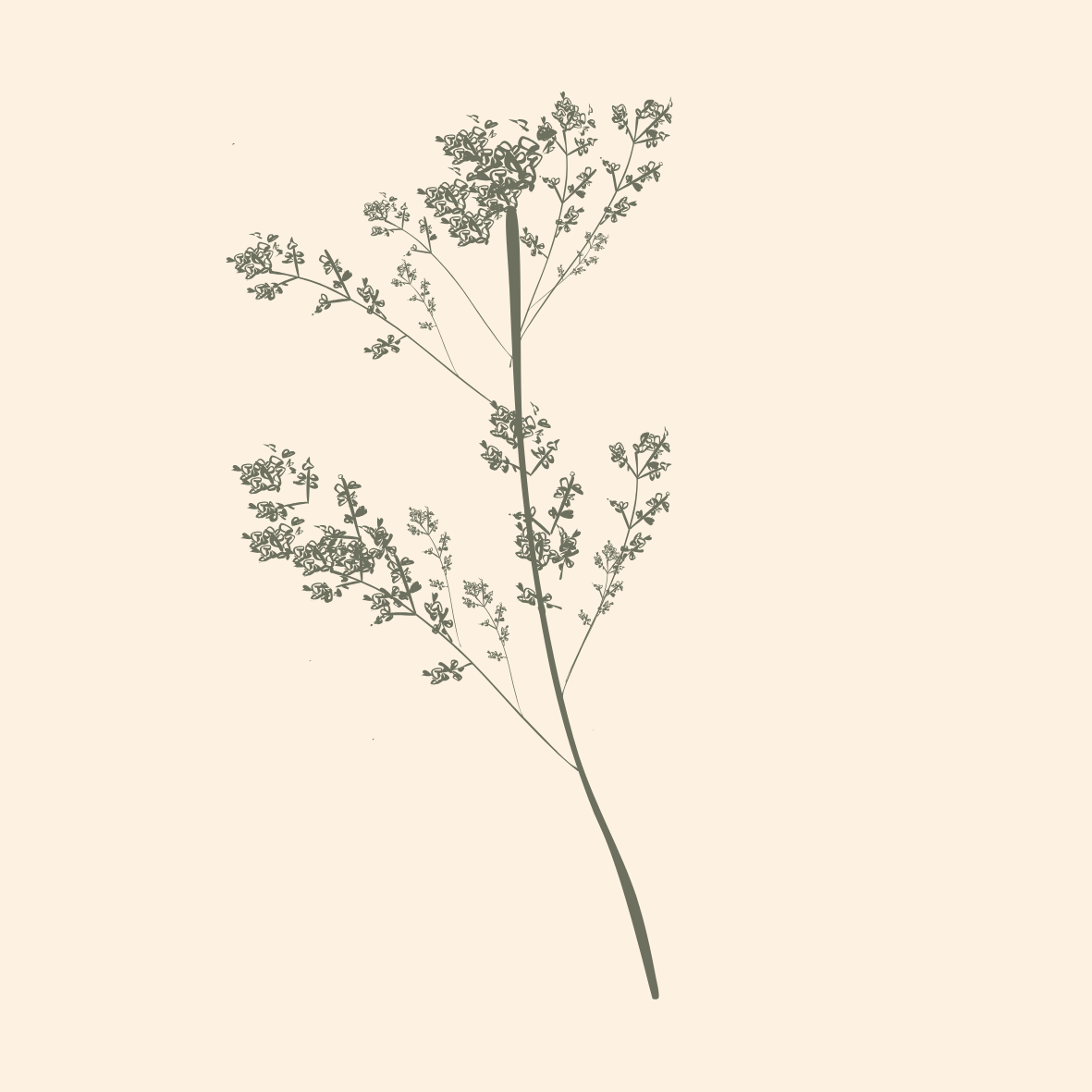 The Good Things Grow.