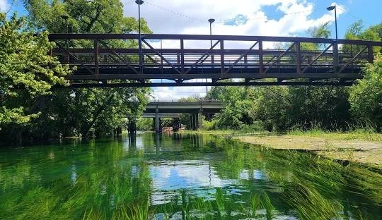 Meán Earrach (Mid-Spring) Ritual/Plant Swap