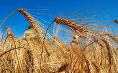 Lughnasadh Ritual & Games in/at the River