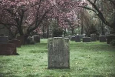 Dinner with the Dead: A Samhain Ritual Feast